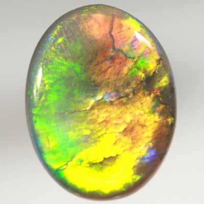 SOLID SEMI BLACK OPAL Bright neon Broad rolling flash
